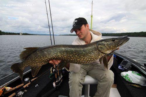 Snoek van 111 cm