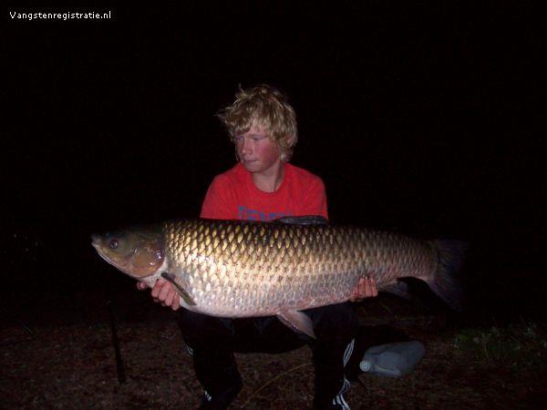 Graskarper van 40 pond & 120 cm