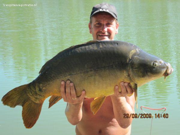 Spiegelkarper van 35 pond & 87 cm