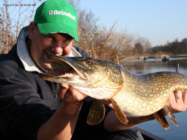 Snoek van 85 cm