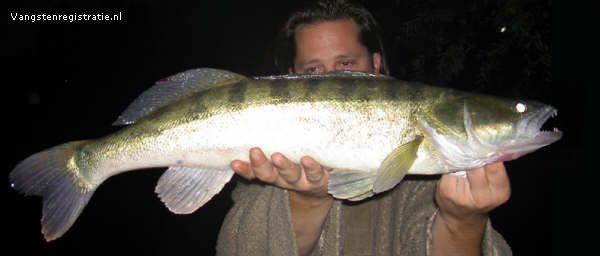 Snoekbaars van 68 cm