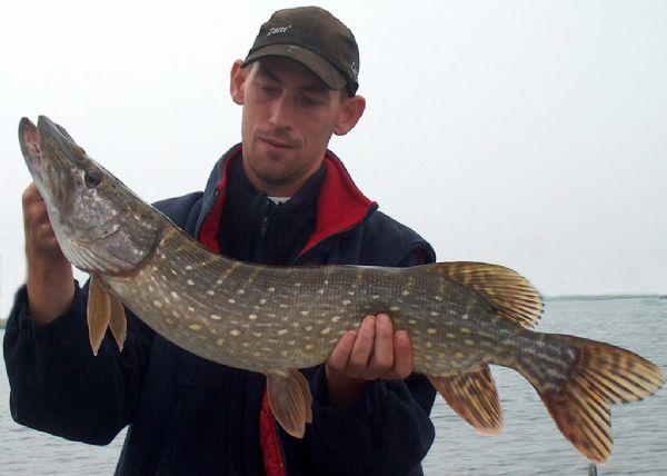 Snoek van 89 cm