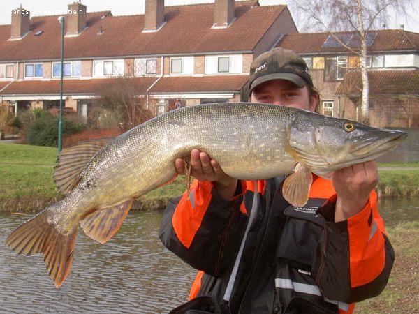 Snoek van 83 cm