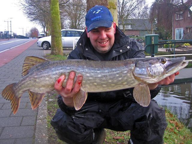 Snoek van 87 cm