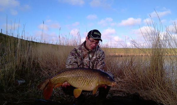 Schubkarper van 20 pond & 78 cm