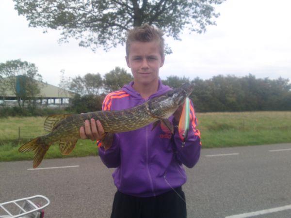 Snoek van 60 cm