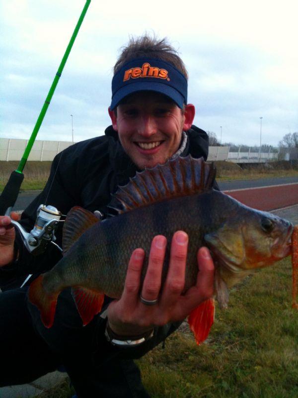 Baars van 42 cm