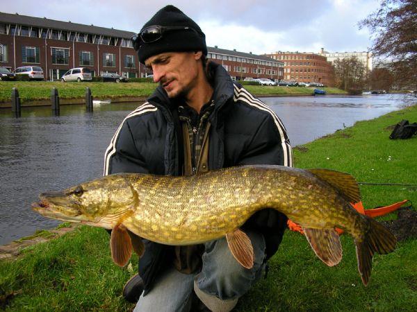 Snoek van 7 kilo & 94 cm