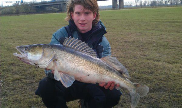 Snoekbaars van 87 cm