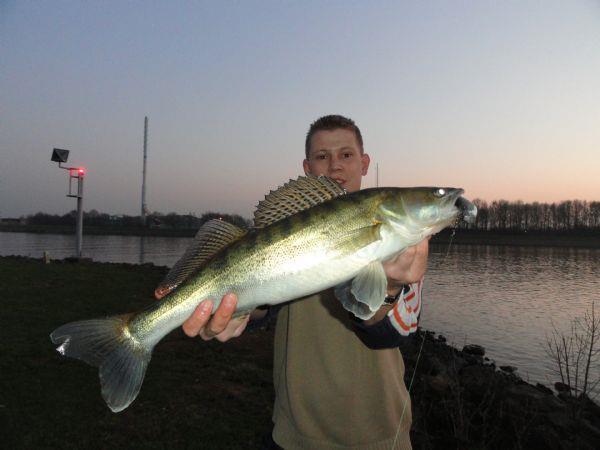 Snoekbaars van 58 cm