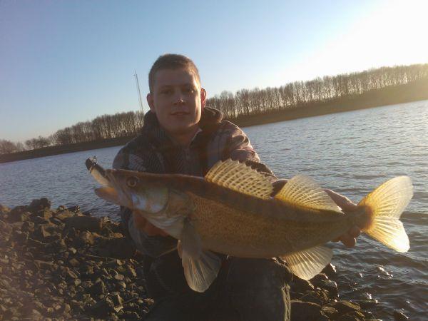 Snoekbaars van 54 cm