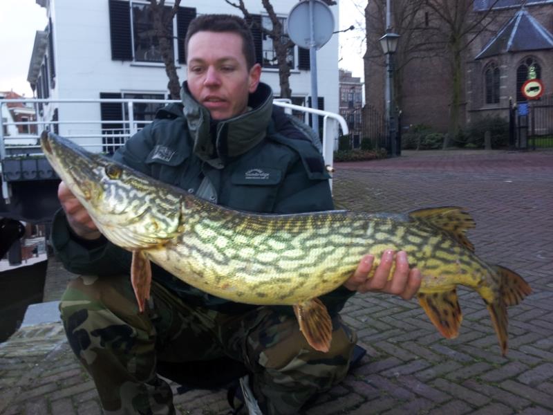 Snoek van 83 cm