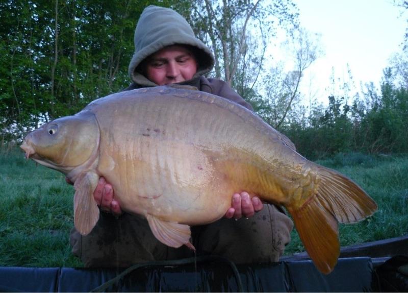 Spiegelkarper van 14 kilo