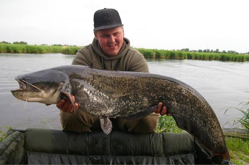 Meerval van 16 kilo & 138 cm