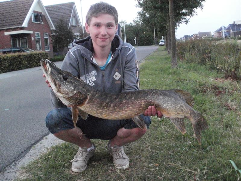 Snoek van 101 cm