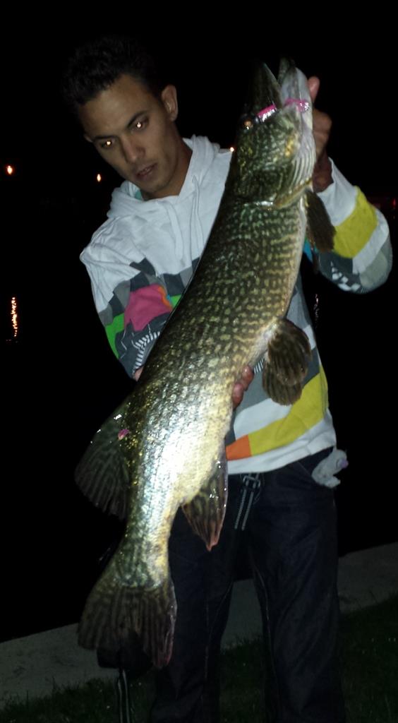 Snoek van 91 cm