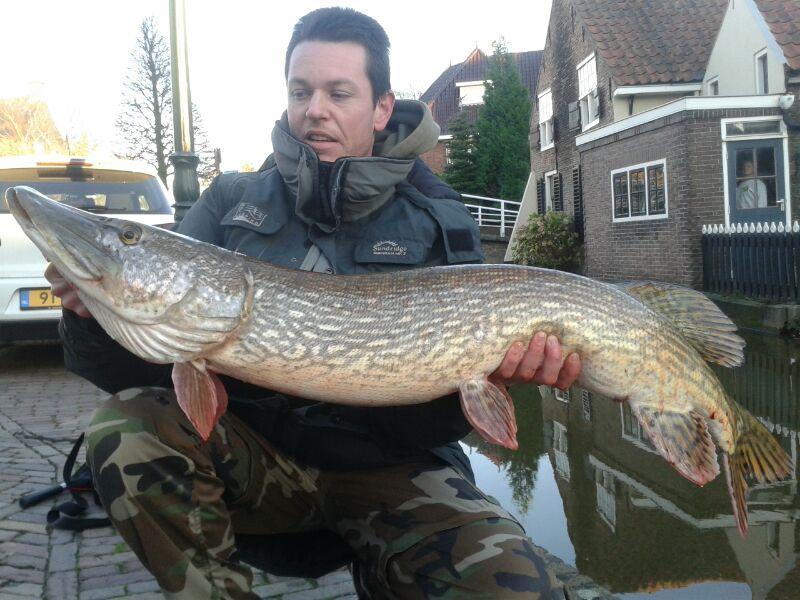 Snoek van 118 cm