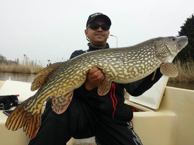 Snoek van 12 kilo & 107 cm
