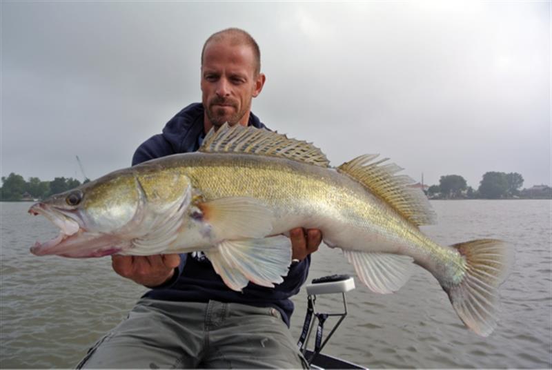 Snoekbaars van 86 cm