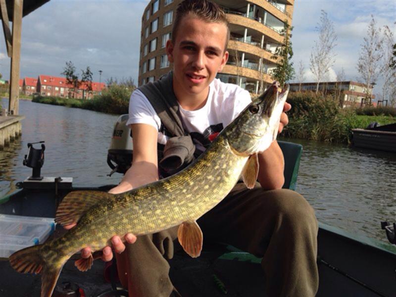 Snoek van 75 cm