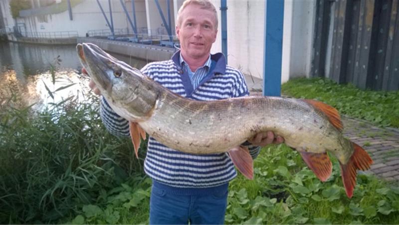 Snoek van 25 pond & 110 cm