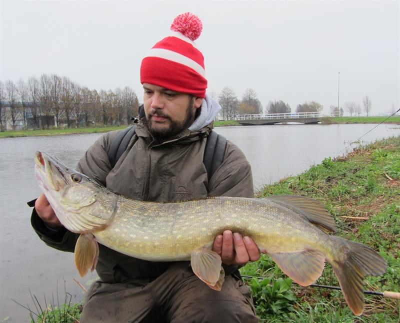 Snoek van 81 cm