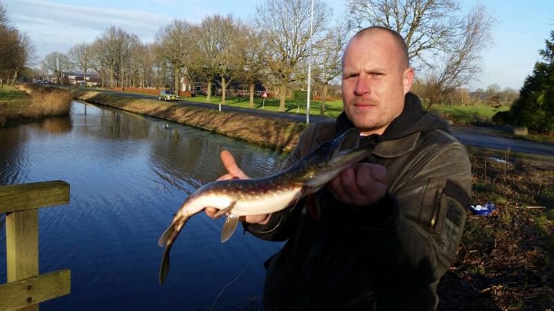 Snoek van 45 cm
