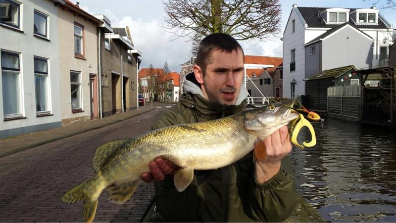 Snoek van 67 cm