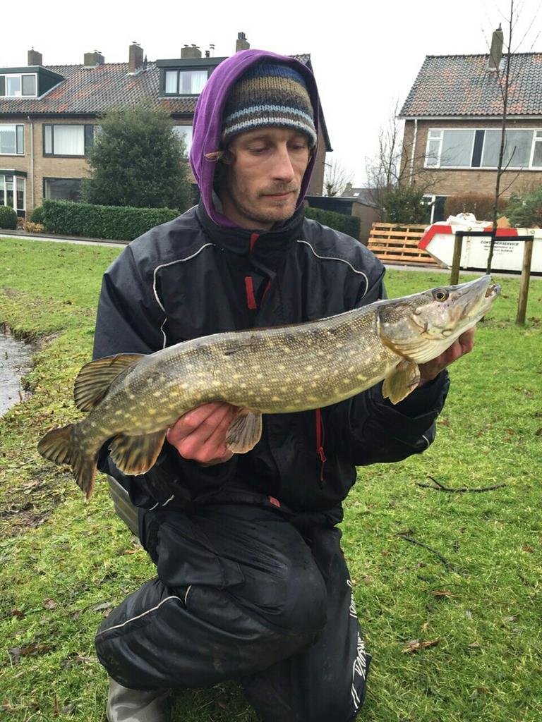 Snoek van 65 cm