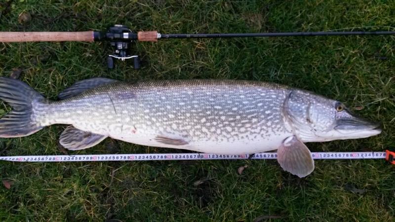 Snoek van 106 cm