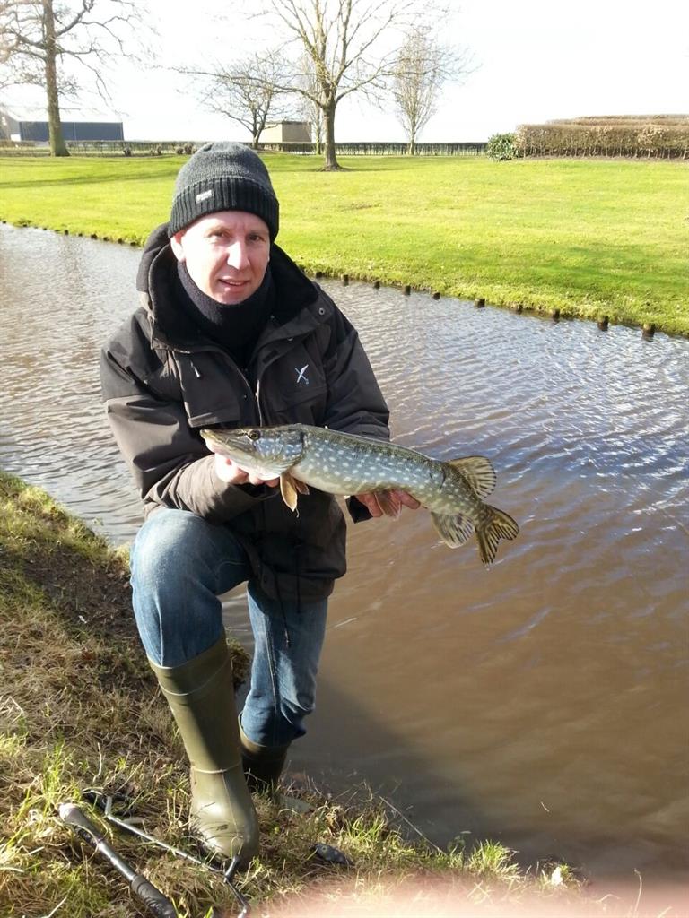 Snoek van 50 cm