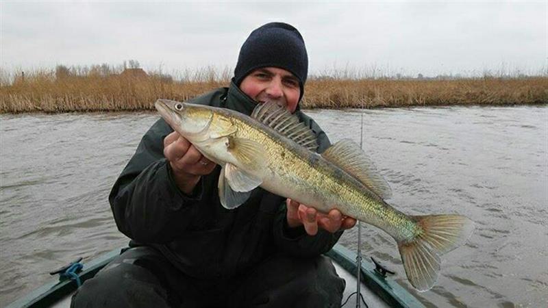 Snoekbaars van 61 cm