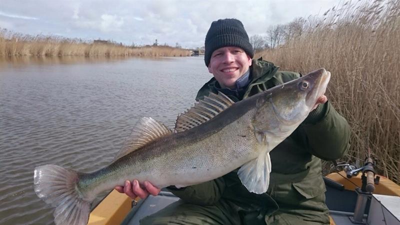 Snoekbaars van 90 cm