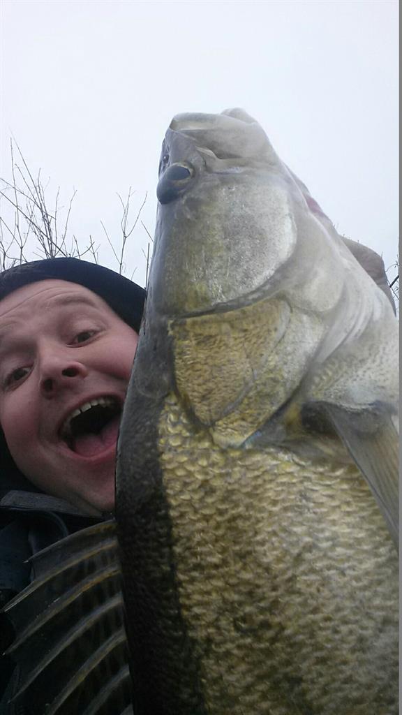 Snoekbaars van 72 cm
