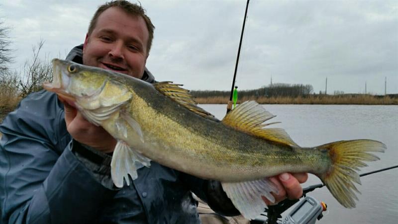 Snoekbaars van 62 cm