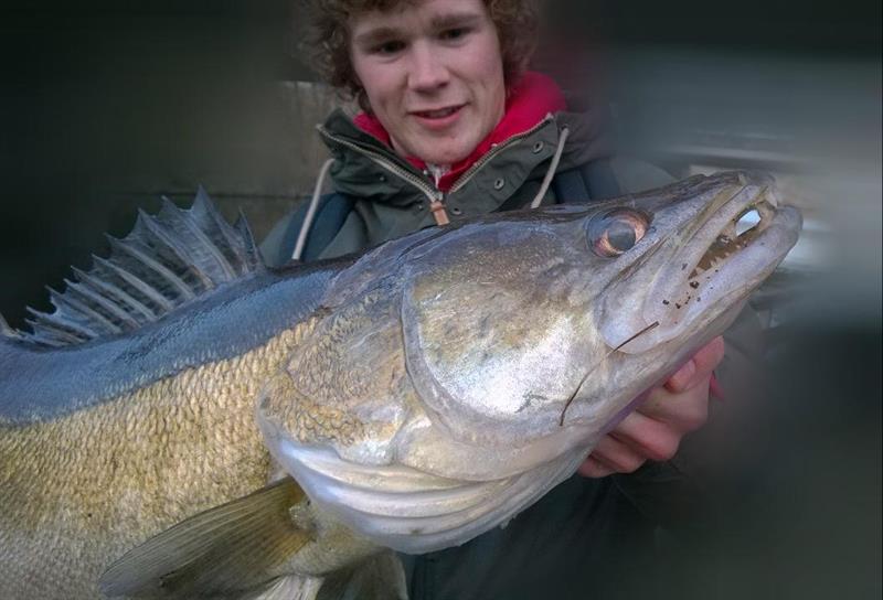 Snoekbaars van 92 cm