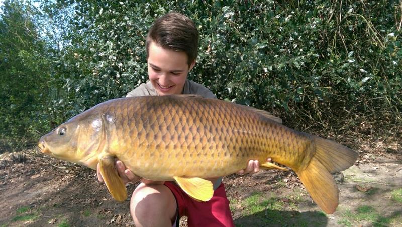 Schubkarper van 19 pond