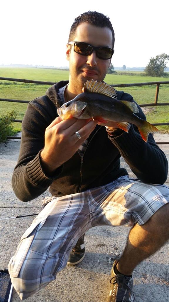 Baars van 28 cm