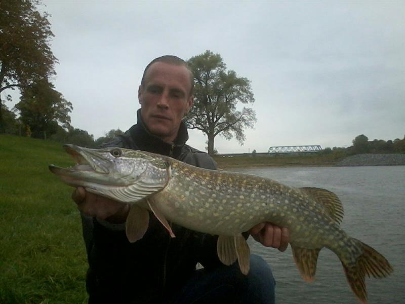 Snoek van 80 cm