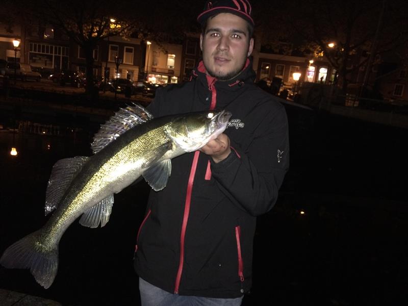 Snoekbaars van 65 cm