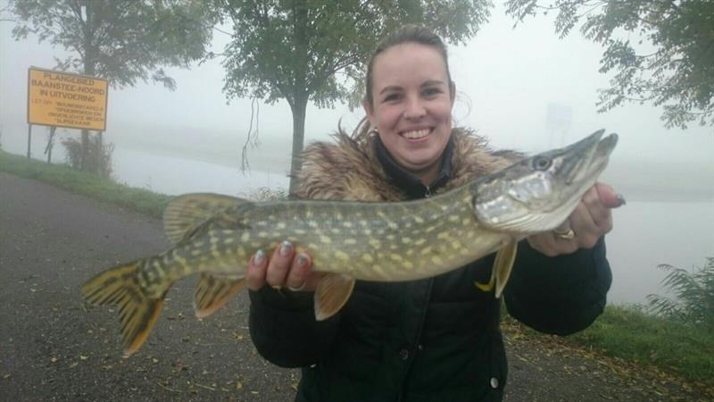 Snoek van 68 cm