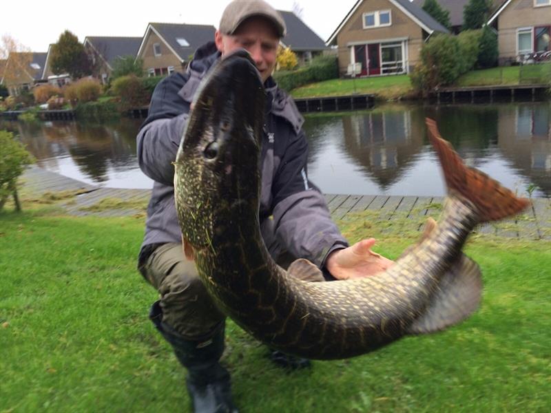 Snoek van 111 cm