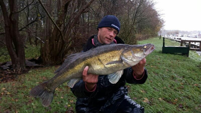 Snoekbaars van 16 pond & 85 cm