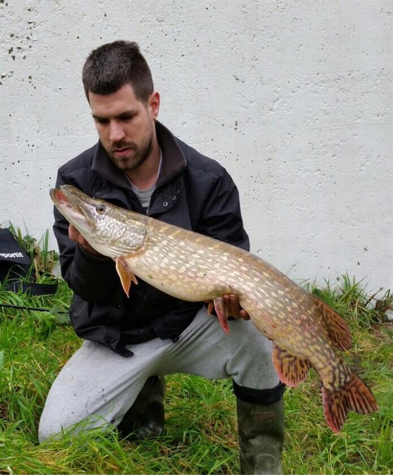 Snoek van 90 cm