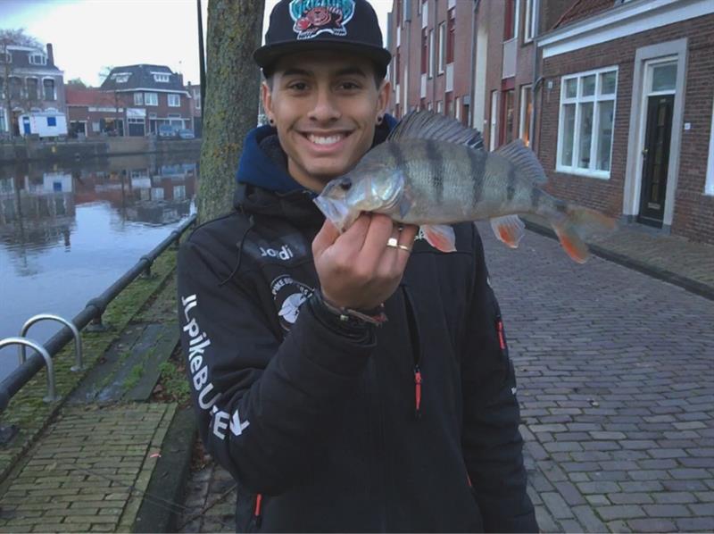 Baars van 32 cm