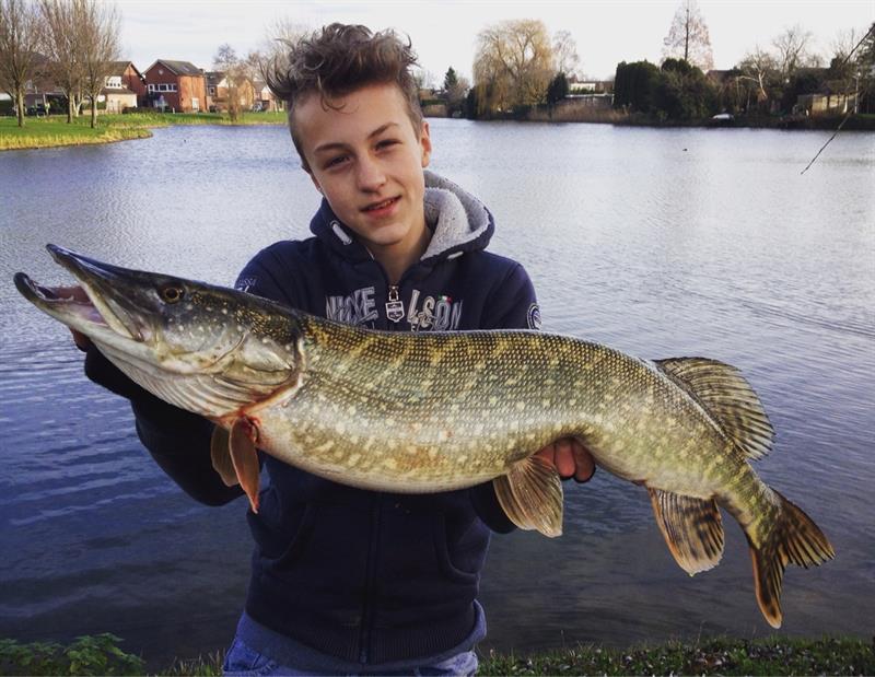 Snoek van 85 cm