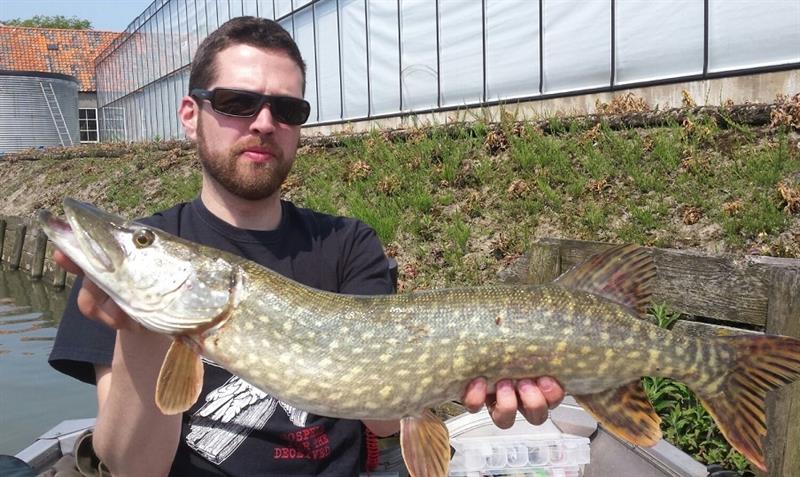 Snoek van 76-80 cm