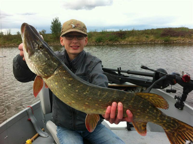 Snoek van 82 cm