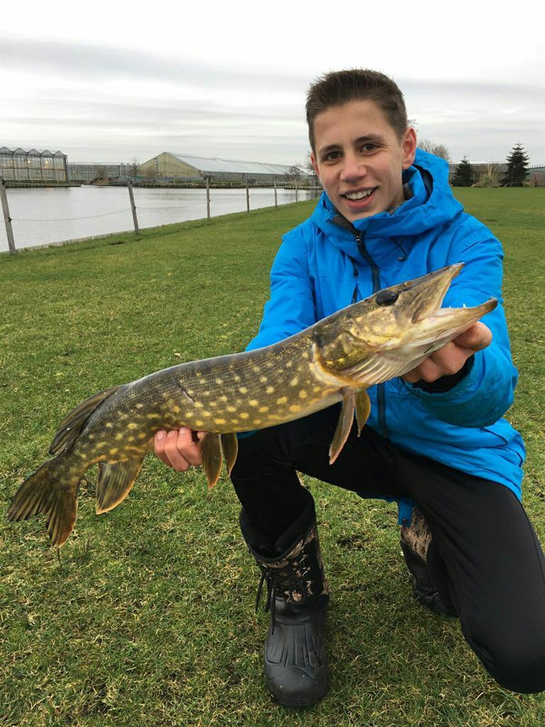 Snoek van 66-70 cm