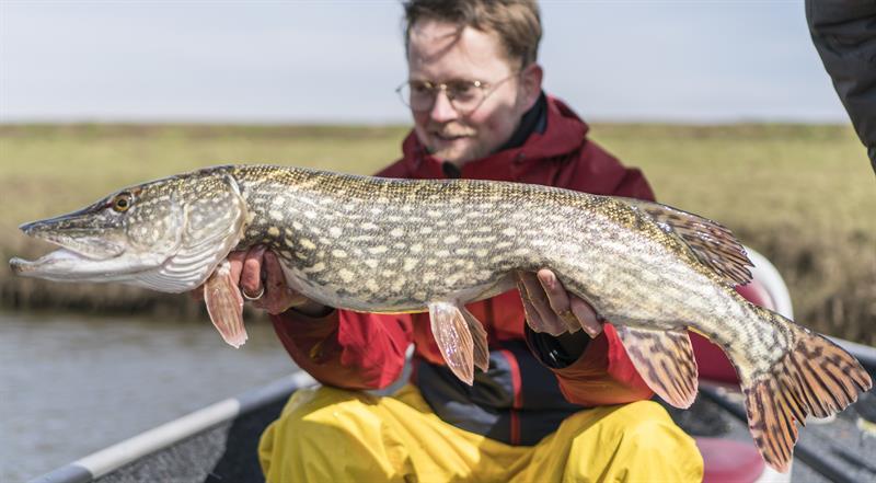 Snoek van 92 cm